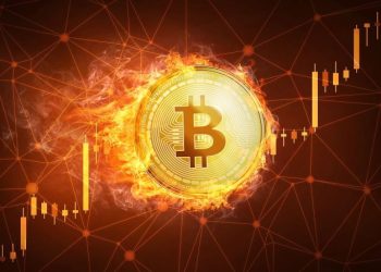 Riding the Cryptocurrency Wave: How to Maximize Your Gains